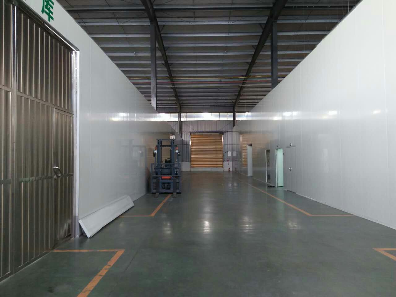 新綠方廠區(qū)展示